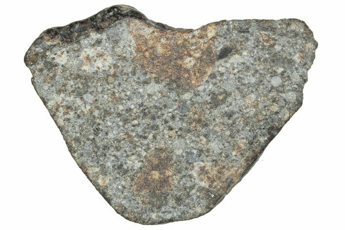 Cut Chondrite Meteorite Section ( g) - NWA #263196